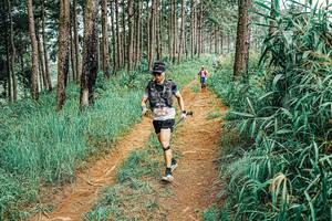 BIB: 
                            <button type="button" onclick="openModal(25685627)" class="btn btn-primary btn-sm float-right btn-popup" data-toggle="modal" data-target=".modal-high-quality">
                        <i class="fas fa-shopping-cart"></i> Add to Cart
                    </button>
                                            <button type="button" onclick="isThisMe(25685627, true)" class="btn btn-success btn-sm float-right btn-popup btn-isme hidden" data-toggle="tooltip" data-placement="bottom" title="นี่คือรูปของคุณใช่ไหม คลิกที่นี่เพื่อเอาเข้าอัลบั้ม">
                        <i class="fas fa-plus"></i> Add to album
                    </button>
                    <button type="button" onclick="isThisMe(25685627, false)" class="btn btn-warning btn-sm float-right btn-popup btn-isnotme hidden">
                        <i class="fas fa-ban"></i> Remove from album
                    </button>